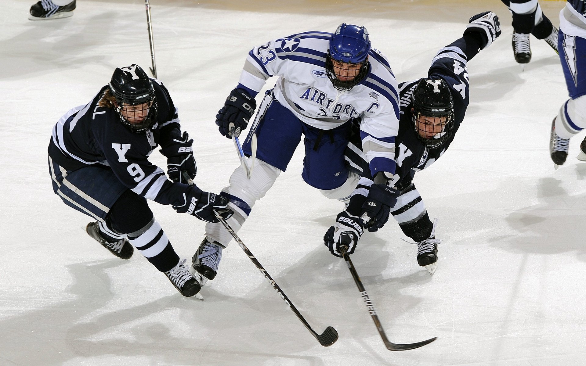 篮球联盟冠军热门球队分析